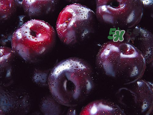 黑布李多少錢一斤？黑布李和紅布李哪個貴？