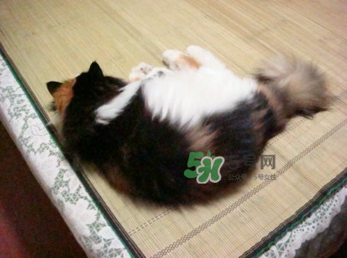 三伏天可以睡涼席嗎？三伏天睡涼席好嗎？