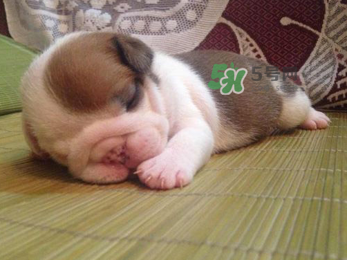 三伏天可以睡涼席嗎？三伏天睡涼席好嗎？