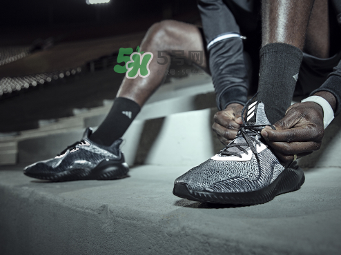 adidas alphabounce reflective阿爾法小椰子跑鞋夜光版多少錢？