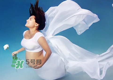 家里有寵物狗對孕婦好嗎？懷孕了家里有寵物要緊嗎？