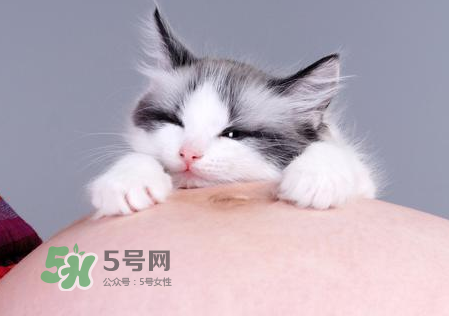 孕婦被貓抓了怎么辦？孕婦被貓抓傷了對寶寶有什么影響？