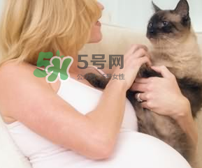 孕婦被貓抓了怎么辦？孕婦被貓抓傷了對寶寶有什么影響？