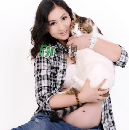 孕婦被貓抓了怎么辦？孕婦被貓抓傷了對寶寶有什么影響？