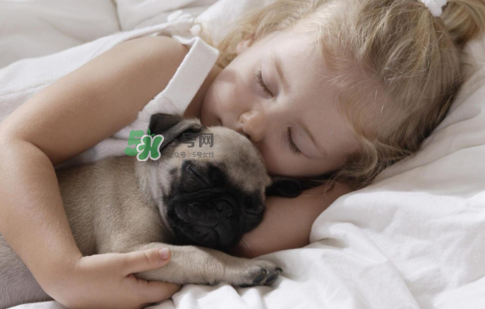 寵物對嬰兒的影響 寵物對嬰兒的危害有哪些？