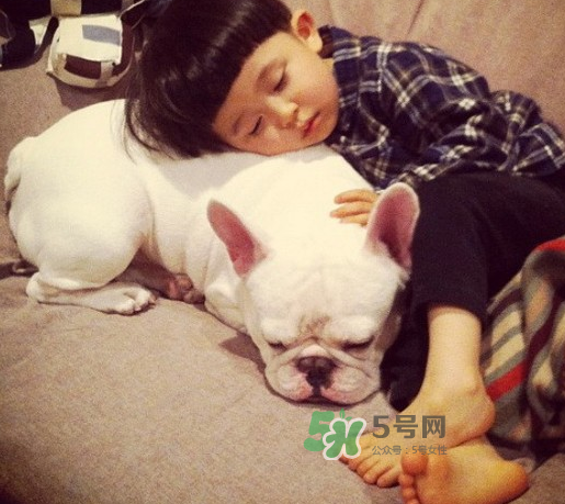 寵物對嬰兒的影響 寵物對嬰兒的危害有哪些？