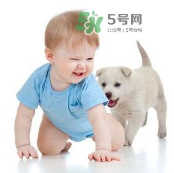 寵物對嬰兒的影響 寵物對嬰兒的危害有哪些？