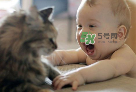 嬰兒被貓抓了怎么辦？嬰兒被貓咪咬了怎么辦？