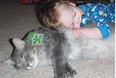 嬰兒被貓抓了怎么辦？嬰兒被貓咪咬了怎么辦？