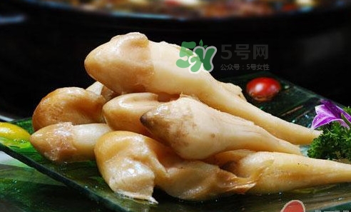 雞樅菌什么時候有？雞樅菌生長在什么地方