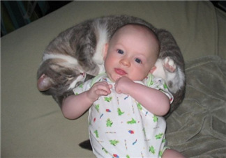 嬰兒被貓抓了怎么辦？嬰兒被貓咪咬了怎么辦？