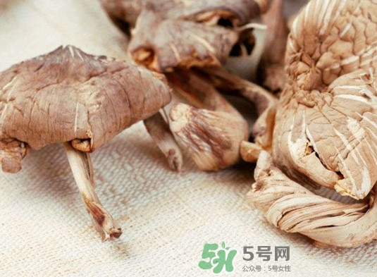 雞樅菌有毒嗎？雞樅菌不能和什么一起吃？