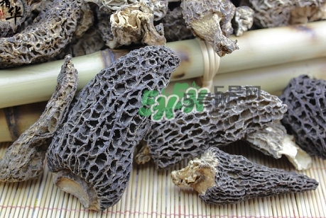 羊肚菌最大產(chǎn)地是哪兒？羊肚菌怎么泡發(fā)