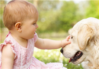 寵物對(duì)嬰兒的影響 寵物對(duì)嬰兒的危害有哪些？