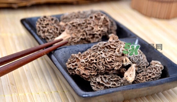 羊肚菌可以泡水喝嗎？羊肚菌可以燉鴿子嗎