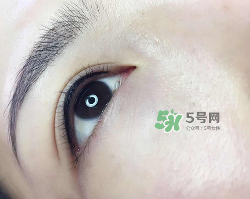 美瞳線有幾種款式？美瞳線有小尾巴嗎？