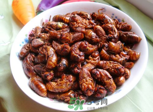 八月份還有知了猴嗎？知了幾月份就沒(méi)有了？