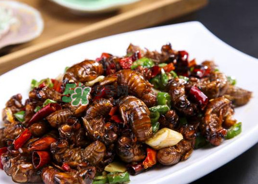 八月份還有知了猴嗎？知了幾月份就沒(méi)有了？