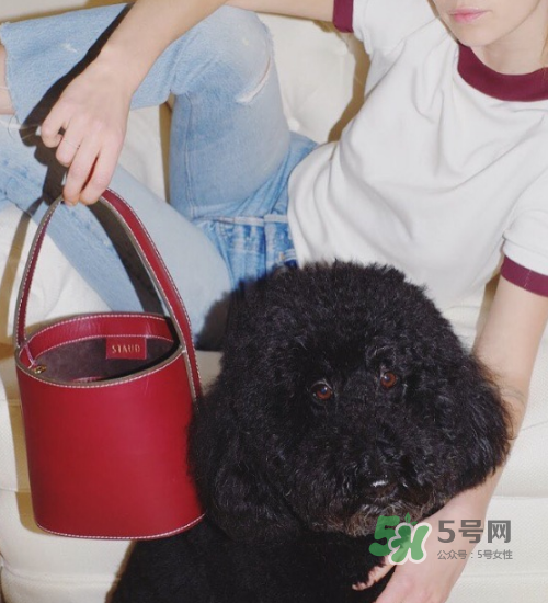 staud水桶包多少錢？staud水桶包專柜價(jià)格