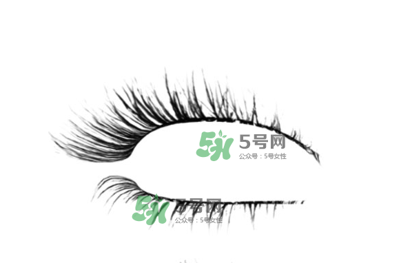 種睫毛會(huì)掉自己睫毛嗎？種睫毛掉了還會(huì)長嗎？