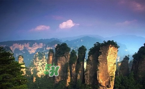 夏天去哪里旅游最好？夏天旅游哪里涼快？