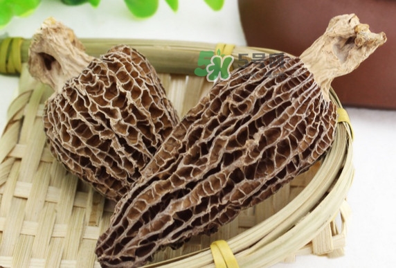 羊肚菌為什么那么貴？羊肚菌為什么這么貴