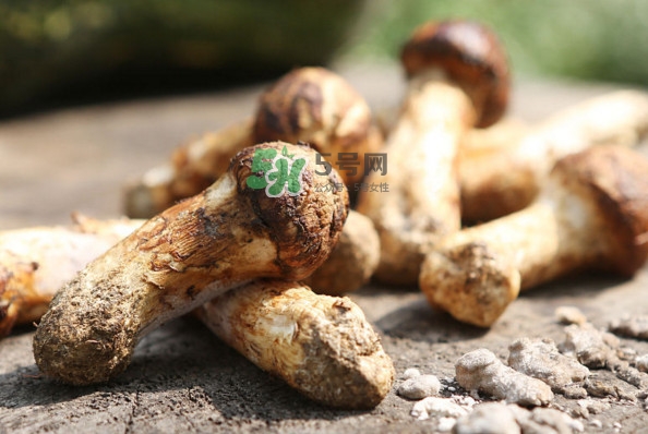 新鮮松茸怎么吃？松茸怎么吃最有營養(yǎng)