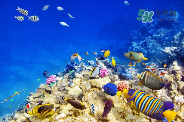 夏天去哪里旅游最好？夏天旅游哪里涼快？