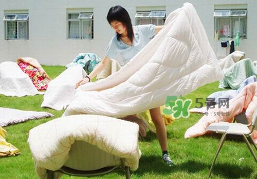 三伏天能曬被子嗎？三伏天曬被子好嗎？