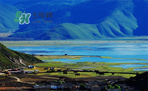 夏天去哪里旅游最好？夏天旅游哪里涼快？