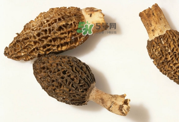 羊肚菌可以泡茶喝嗎？羊肚菌可以生吃嗎