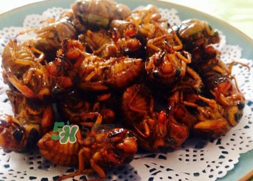 知了和蝦能一起吃嗎？知了猴能和蝦一起吃嗎？