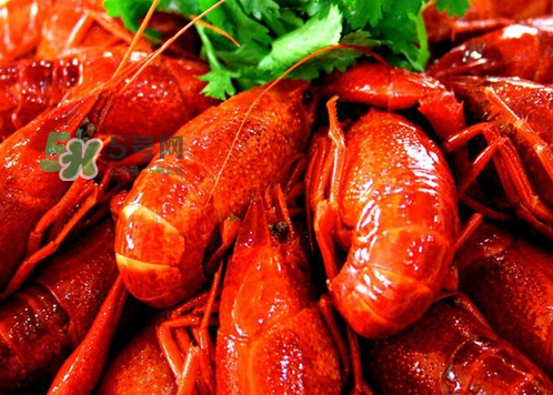 孕婦能吃麻辣小龍蝦嗎？吃麻辣小龍蝦會流產(chǎn)嗎？