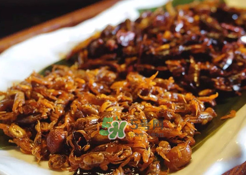 知了猴可以帶上飛機嗎？知了猴能帶上飛機嗎？