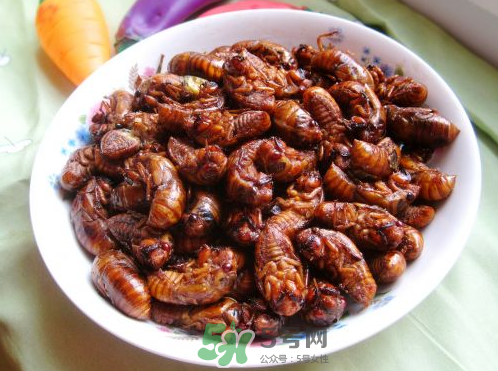 知了猴可以帶上飛機嗎？知了猴能帶上飛機嗎？