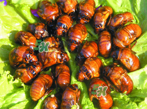 知了猴什么味道？知了猴好吃嗎？