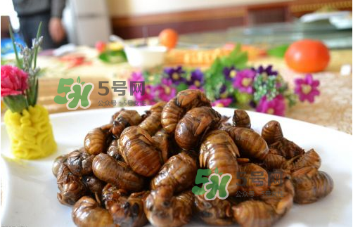 知了猴什么味道？知了猴好吃嗎？