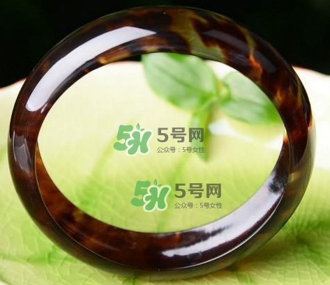 玳瑁是什么？玳瑁是國(guó)家保護(hù)動(dòng)物嗎？