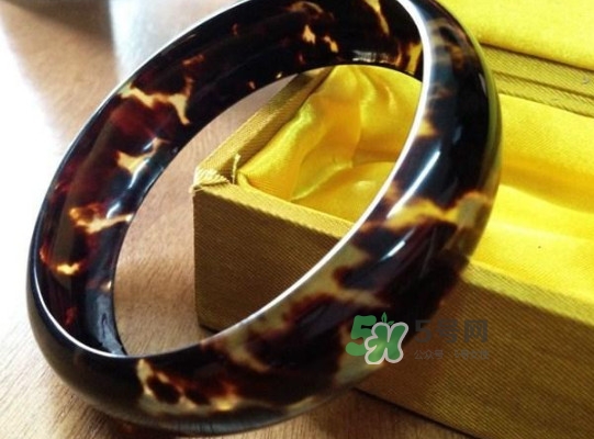 玳瑁標(biāo)本有收藏價(jià)值嗎？玳瑁的功效與作用