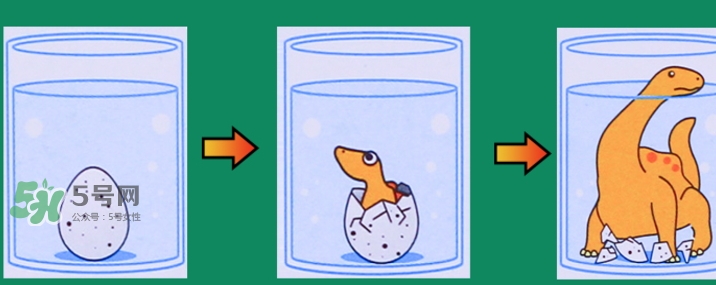 tatsumiya水中孵化恐龍蛋怎么孵恐龍_怎么玩說明書 tatsumiya水中孵化恐龍蛋怎么孵恐龍_怎么玩說明書