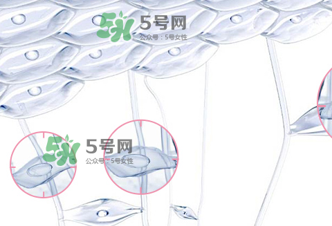 嬌韻詩青春賦活兩件套裝多少錢？嬌韻詩全新青春賦活系列怎么樣？