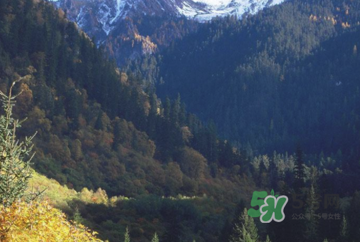 8月份去九寨溝人多嗎？8月份去九寨溝熱嗎？