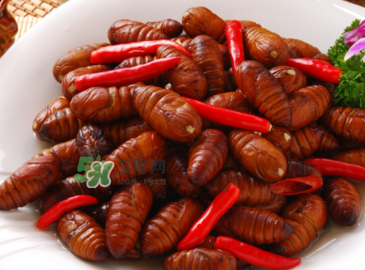 蠶蛹多少錢一斤？蠶蛹多少錢一斤2017？