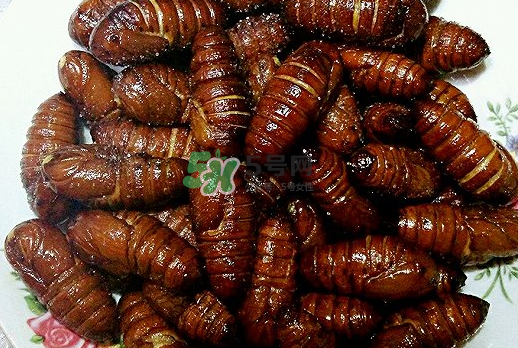 蠶蛹多少錢一斤？蠶蛹多少錢一斤2017？