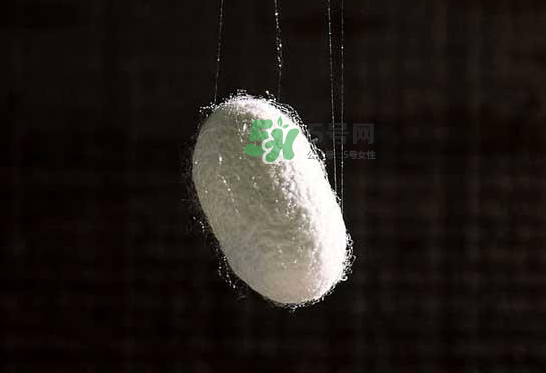 蠶繭多少錢一斤2017？2017年蠶繭價格是多少？