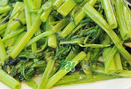 通心菜葉子可以吃嗎_通心菜葉子怎么吃好 通心菜葉子可以吃嗎_通心菜葉子怎么吃好