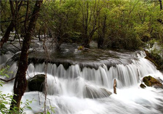 8月份去九寨溝人多嗎？8月份去九寨溝熱嗎？