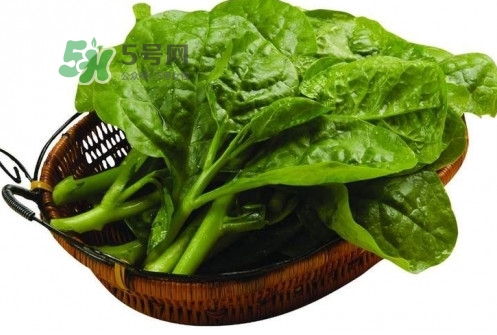 木耳菜怎么做好吃？木耳菜怎么吃