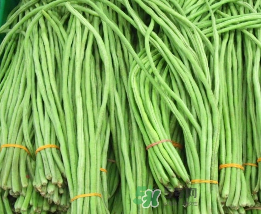 缸豆沒熟能吃嗎？酸缸豆怎么腌制的