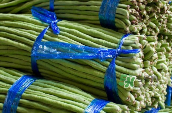 怎樣曬長缸豆？新鮮缸豆怎么保存